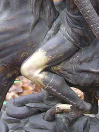 Puncture in Rider's leg under repair